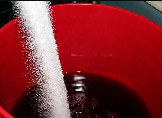 Вино з Лідії: рецепти приготування алкогольного напою з американського сорту чорного винограду в домашніх умовах